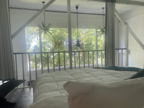 Shiba-suite-view